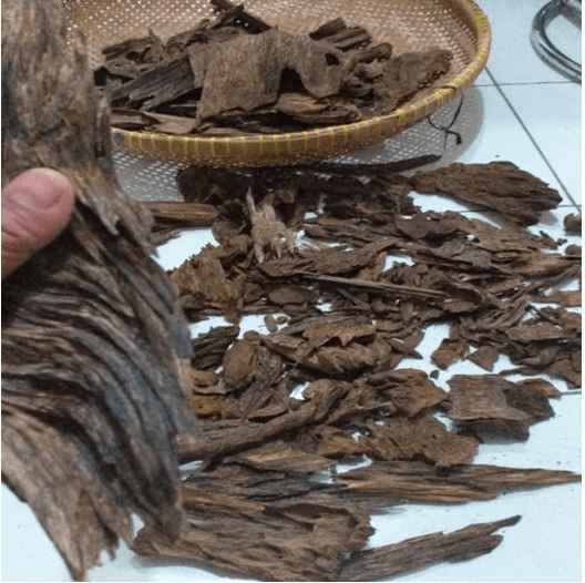 Premium oud oil, Natural Agarwood chips, Oud Supplier Indonesia