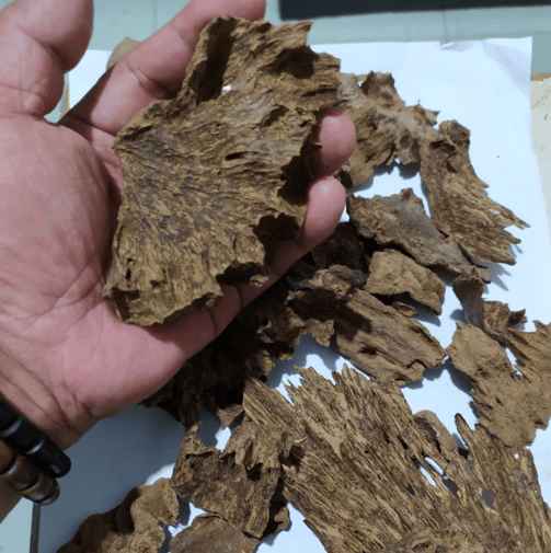 Premium oud oil, Natural Agarwood chips, Oud Supplier Indonesia