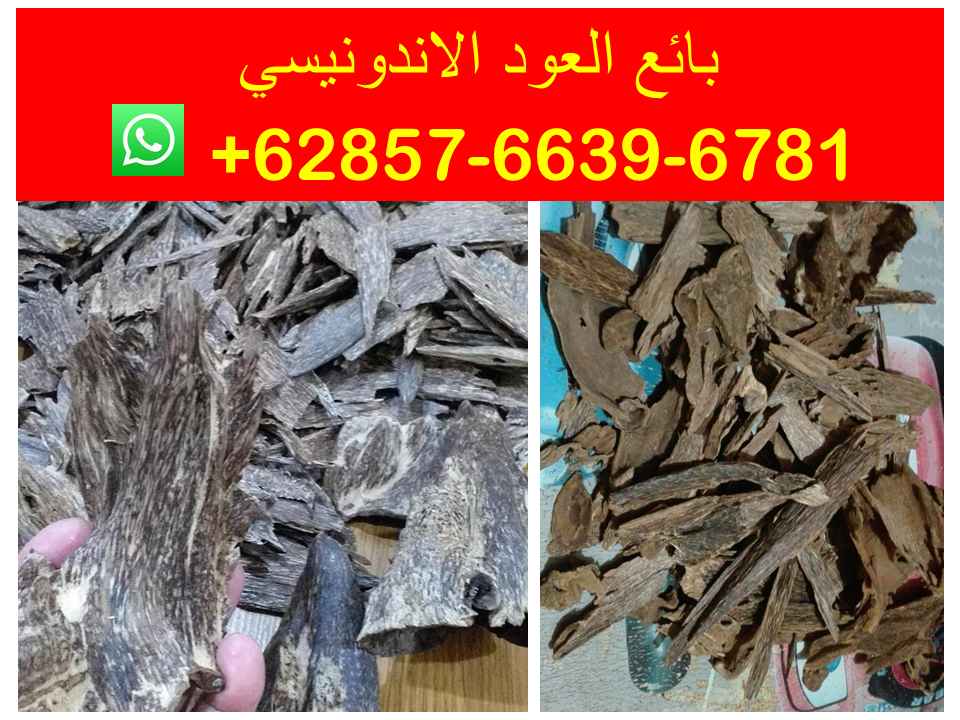 Premium oud oil, Natural Agarwood chips, Oud Supplier Indonesia