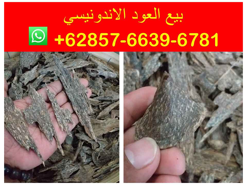 Premium oud oil, Natural Agarwood chips, Oud Supplier Indonesia