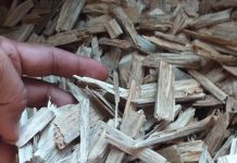 Premium oud oil, Natural Agarwood chips, Oud Supplier Indonesia