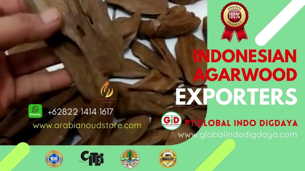 Premium oud oil, Natural Agarwood chips, Oud Supplier Indonesia