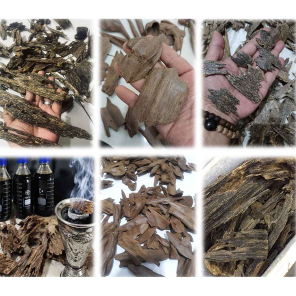 agarwood indo banner 1254x1254 ok