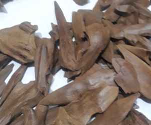 asgon 300x250 kecil ok