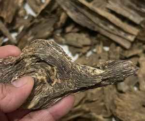 kalimantan ponti 300x250 kecil ok